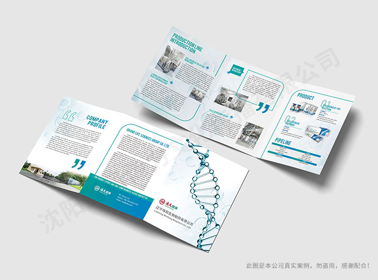 遼寧味邦生物折頁設(shè)計